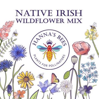 Native Irish wildflower mix
