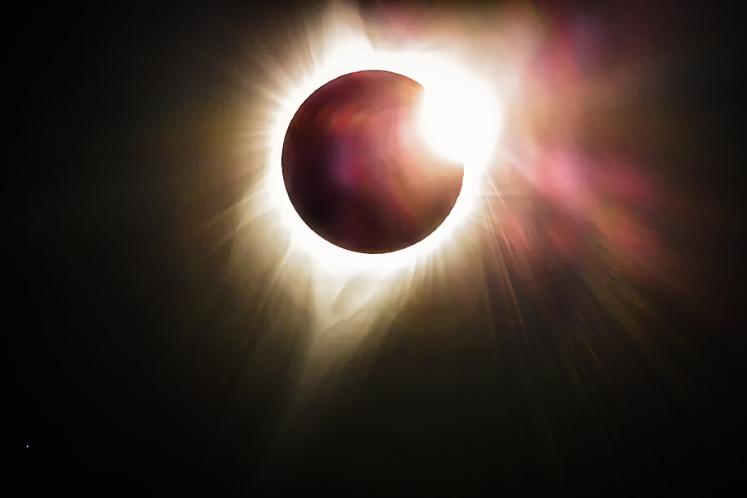 BEE-SPLAINING: Does a solar eclipse affect bees?